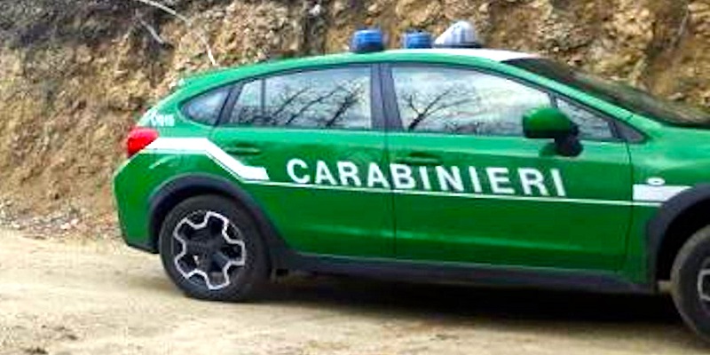 Carabinieri Forestale auto