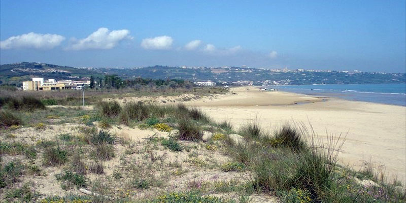 dune vastomarina
